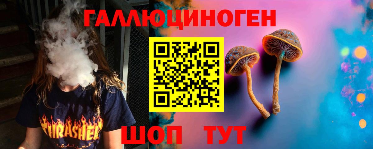 Южноуральск  Галлюциногенные грибы ЛСД  Вход с VPN 